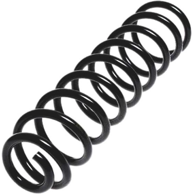 Front Coil Spring by LESJOFORS - 4056842 pa4