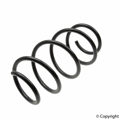 Front Coil Spring by LESJOFORS - 4056881 pa1