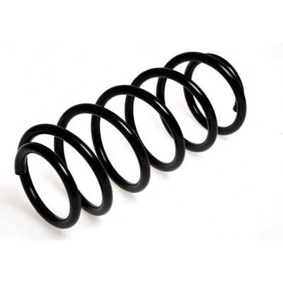 Front Coil Spring by LESJOFORS - 4077806 pa2