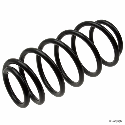 Front Coil Spring by LESJOFORS - 4077811 pa2