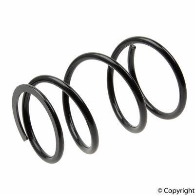 Front Coil Spring by LESJOFORS - 4092579 pa2