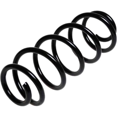 Front Coil Spring by LESJOFORS - 4095037 pa5