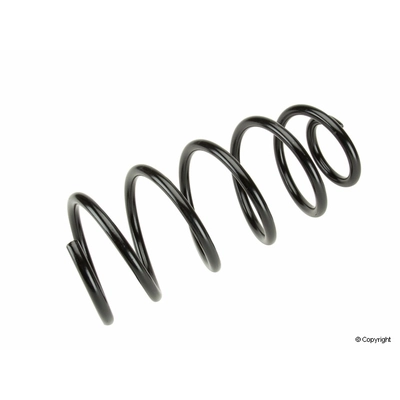 Front Coil Spring by LESJOFORS - 4095077 pa1