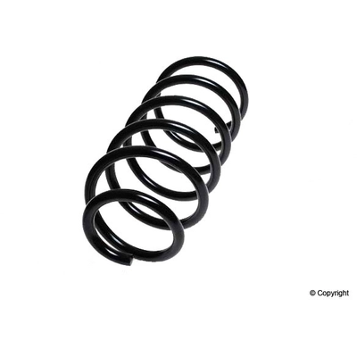 Front Coil Spring by LESJOFORS - 4095840 pa1
