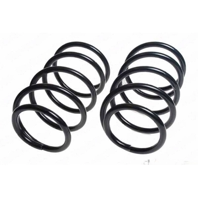 LESJOFORS - 4137201 - Front Coil Spring Set pa1