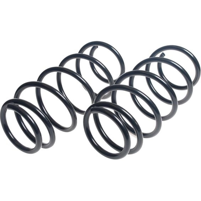 LESJOFORS - 4149100 - Front Coil Springs pa1