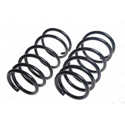 LESJOFORS - 4162015 - Front Coil Spring Set pa1