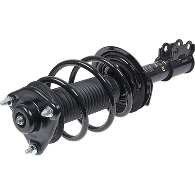 EVOLUTION - V11772 - Front Complete Strut Assembly pa5