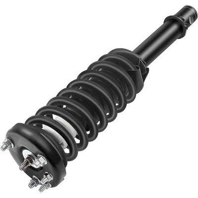 FCS AUTOMOTIVE - 1332319L - Front Complete Strut Assembly pa2