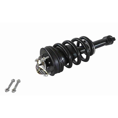 GSP NORTH AMERICA - 810044 - Suspension Strut and Coil Spring Assembly - Front pa2