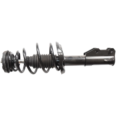 GSP NORTH AMERICA - 810052 - Suspension Strut and Coil Spring Assembly pa2