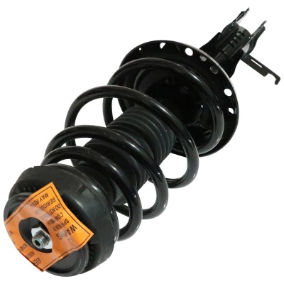 GSP NORTH AMERICA - 810059 - Suspension Strut and Coil Spring Assembly - Front left pa1