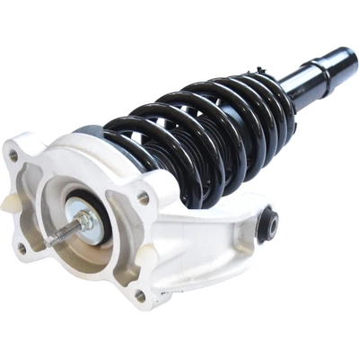 GSP NORTH AMERICA - 812222 - Suspension Strut and Coil Spring Assembly pa6