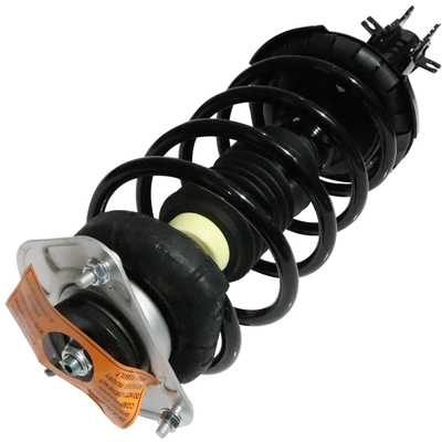 GSP NORTH AMERICA - 883265 - Suspension Strut and Coil Spring Assembly pa1