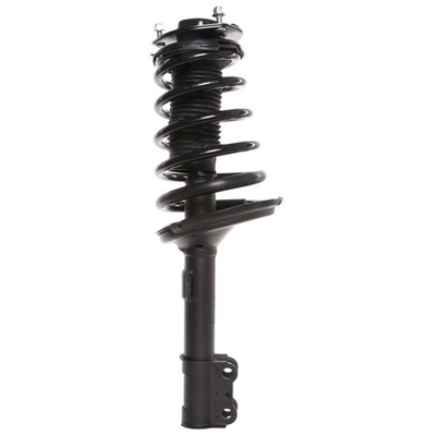 PRT - 814907 - Suspension Strut And Coil Spring Assembly pa2