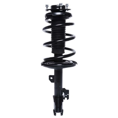 PRT - 816549 - Suspension Strut and Coil Spring Assembly pa1