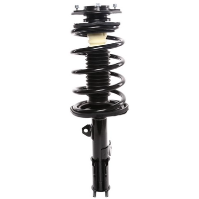 PRT - 816631 - Suspension Strut and Coil Spring Assembly pa1