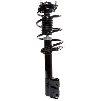 PRT - 816956 - Suspension Strut and Coil Spring Assembly pa2