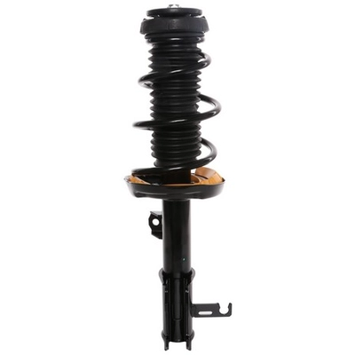 PRT - 817177 - Suspension Strut and Coil Spring Assembly pa1