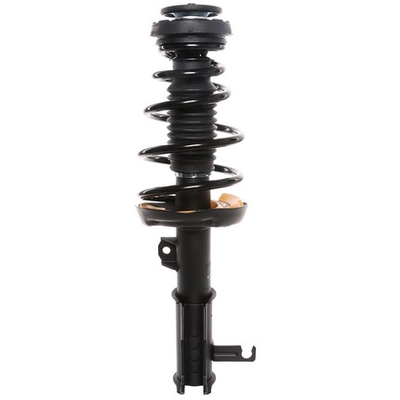 PRT - 818197 - Suspension Strut and Coil Spring Assembly pa1