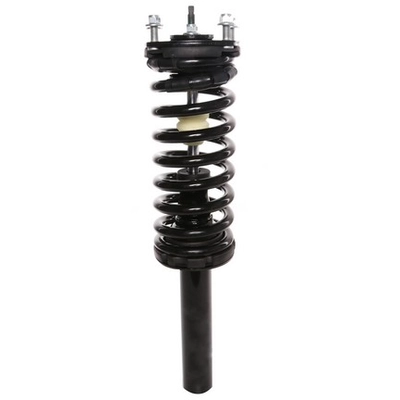PRT - 818932 - Suspension Strut and Coil Spring Assembly pa1