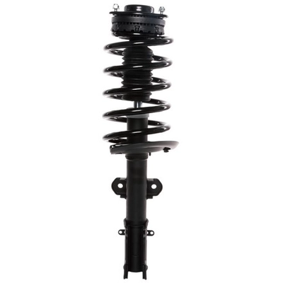 PRT - 818991 - Suspension Strut and Coil Spring Assembly pa1