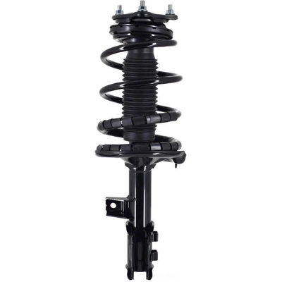 WORLDPARTS STRUTS - W1333355R - Assemblage de jambe de force avant complèt  pa1