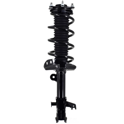 WORLDPARTS STRUTS - W1333365R - Assemblage de jambe de force avant complèt  pa1