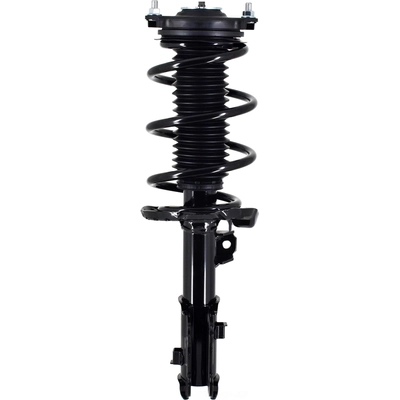 WORLDPARTS STRUTS - W1334163L - Assemblage de jambe de force avant complèt  pa1