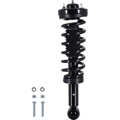 WORLDPARTS STRUTS - W1345798R - Assemblage de jambe de force avant complèt  pa1