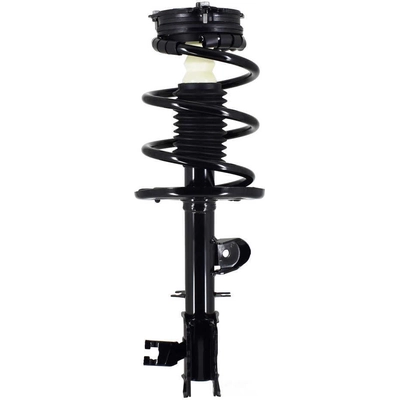 WORLDPARTS STRUTS - W2333564L - Assemblage de jambe de force avant complèt  pa2