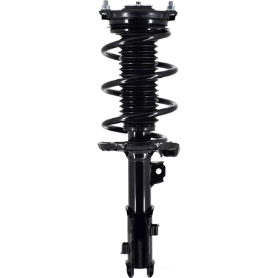 WORLDPARTS STRUTS - W2334051L - Assemblage de jambe de force avant complèt  pa1