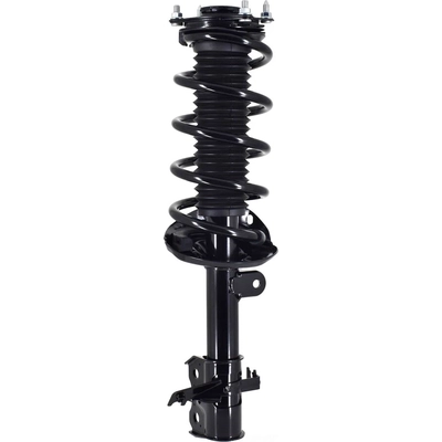 WORLDPARTS STRUTS - W3333365R - Assemblage de jambe de force avant complèt  pa1