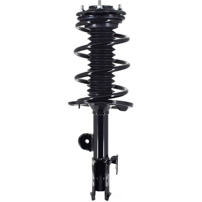 WORLDPARTS STRUTS - W4331622L - Assemblage de jambe de force avant complèt  pa1