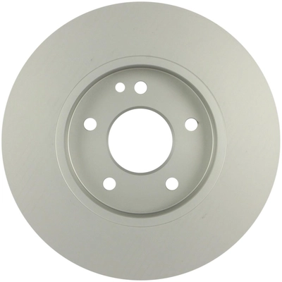 Front Disc Brake Rotor by BOSCH - 36010974 pa1