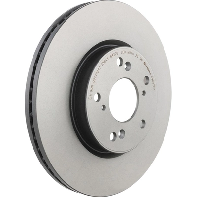 Front Disc Brake Rotor by BREMBO - 09.D219.11 (1 Qty) pa1