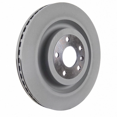 Front Disc Brake Rotor by MOTORCRAFT - BRRF318 pa2