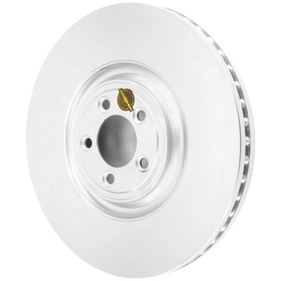 POWER STOP - EBR1089EVC - Evolution Genuine Geomet Fully Coated Rotors pa2