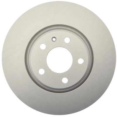 RAYBESTOS - 981777FZN - Front Disc Brake Rotor pa1