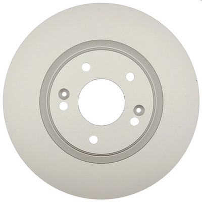 RAYBESTOS - 981958FZN - Front Disc Brake Rotor pa1