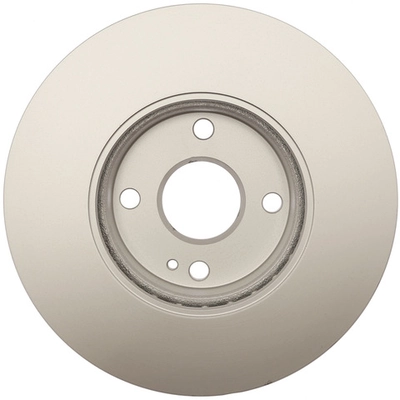 RAYBESTOS - 982048FZN - Front Brake Rotor pa1