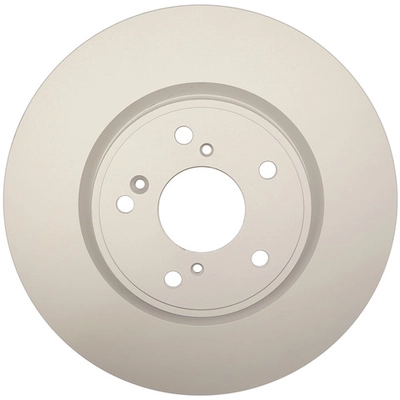 RAYBESTOS - 982124FZN - Front Brake Rotor pa1