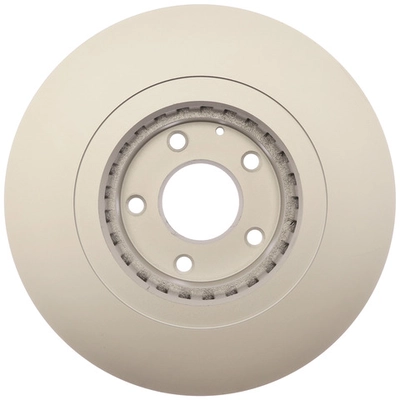 RAYBESTOS - 982130FZN - Front Brake Rotor pa1