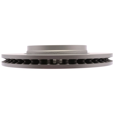 RAYBESTOS - 982495FZN - Front Brake Rotor pa1