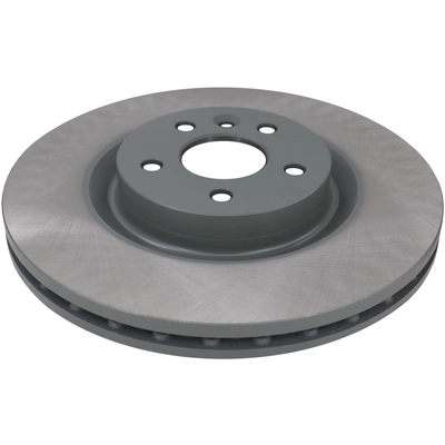 WINHERE BRAKE PARTS - 6621731 - Disc Brake Rotor pa2