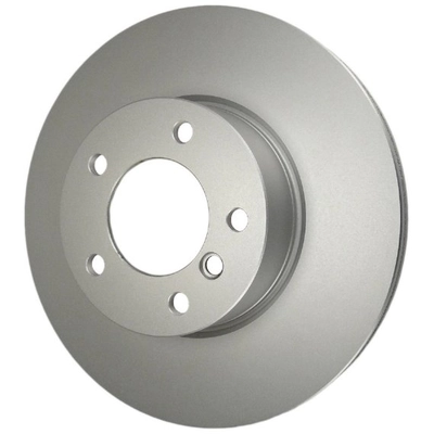 WINHERE BRAKE PARTS - UR002733 - Front Disc Brake Rotor pa1