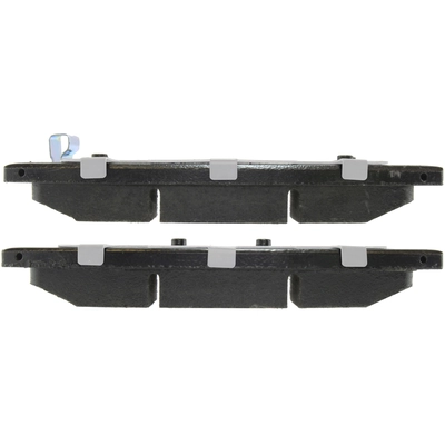 Front Disc Pads by CENTRIC PARTS - 500.09570 pa1