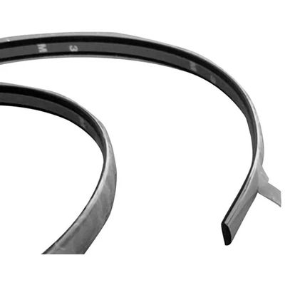 Front Driver Side Bumper Impact Strip by SHERMAN PARTS - 766-250 pa1