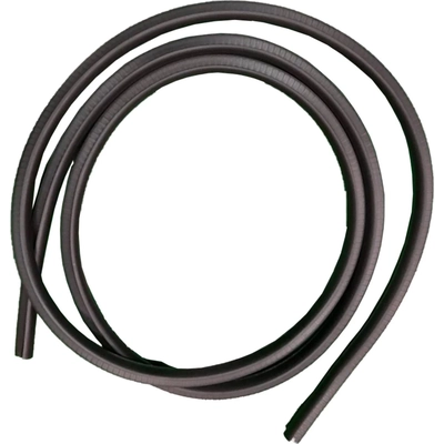 Front Driver Side Door Weatherstrip by SHERMAN PARTS - 332A-110U pa1