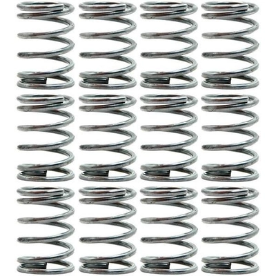 Front Hold Down Spring (Pack of 12) by RAYBESTOS - H1152 pa1